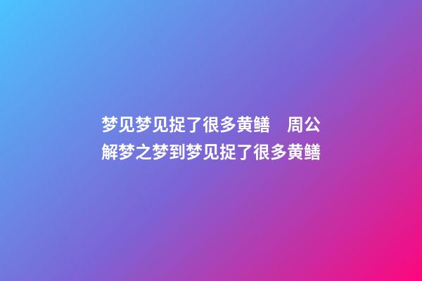 梦见梦见捉了很多黄鳝　周公解梦之梦到梦见捉了很多黄鳝